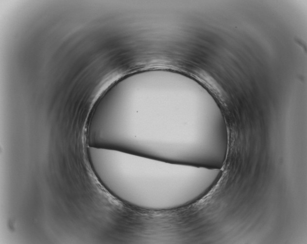 X0000097301190200802151115