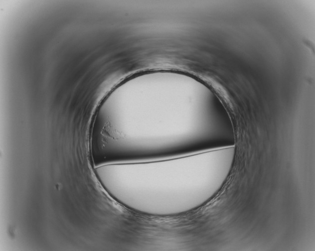 X0000097301191200802151115
