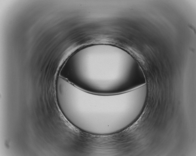 X0000097301192200802151115