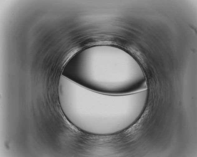 X0000097301193200802151115