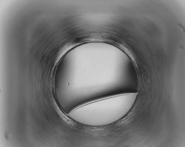 X0000097301195200802151115