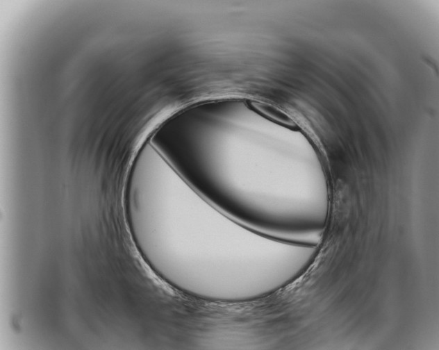 X0000097301197200802151115