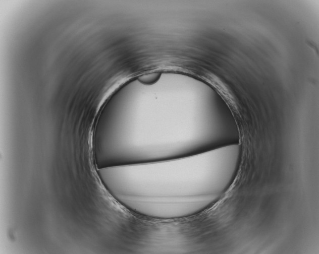 X0000097301198200802151115