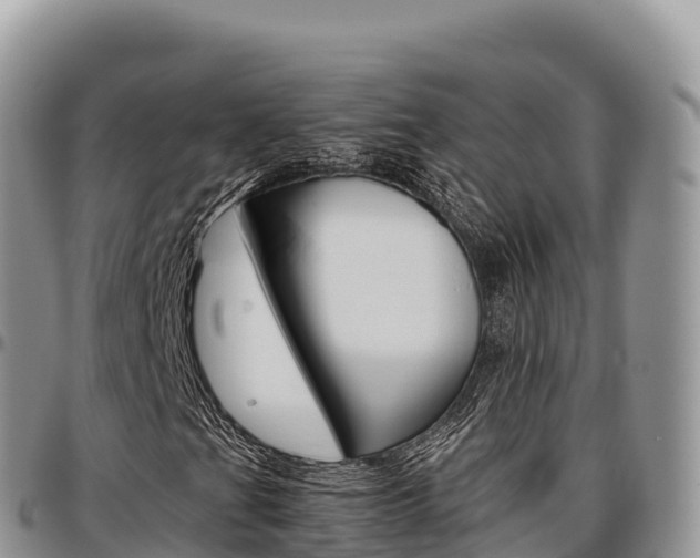 X0000097301201200802151114