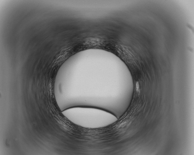 X0000097301203200802151114