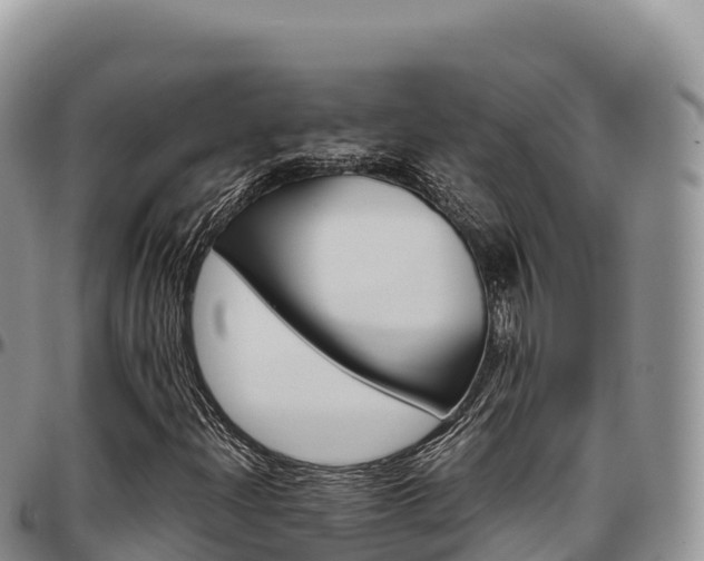 X0000097301204200802151114