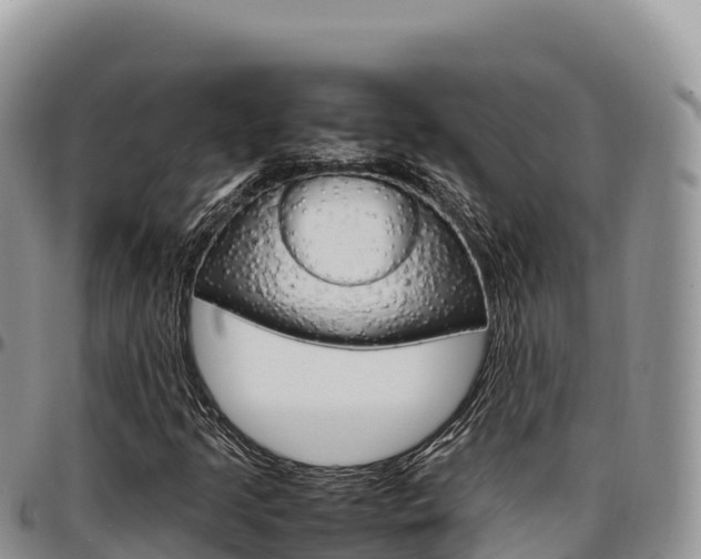 X0000097301205200802151114