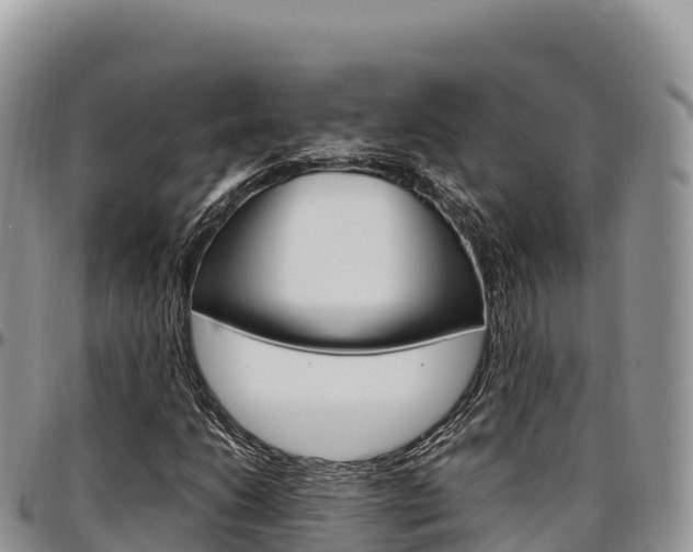 X0000097301206200802151114