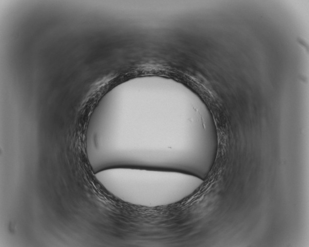 X0000097301207200802151114
