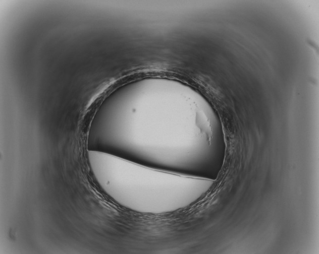 X0000097301208200802151114