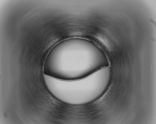 X0000097301209200802151114