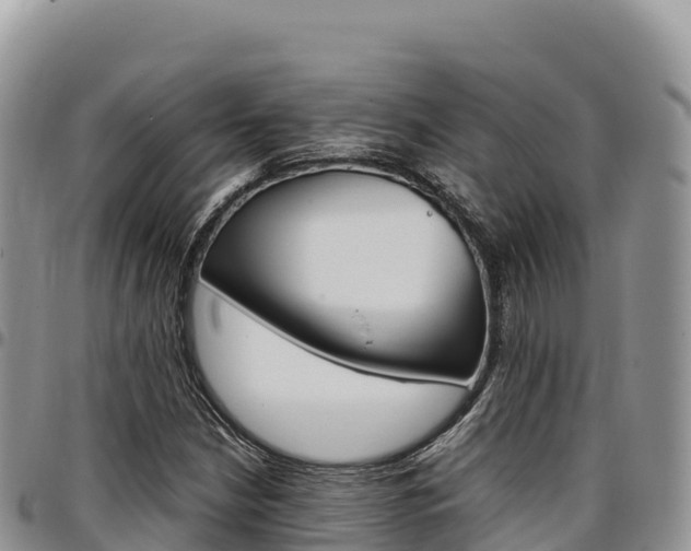 X0000097301210200802151114