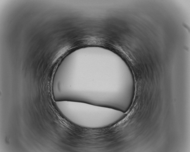 X0000097301211200802151114