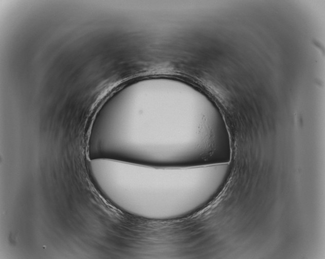 X0000097301212200802151114