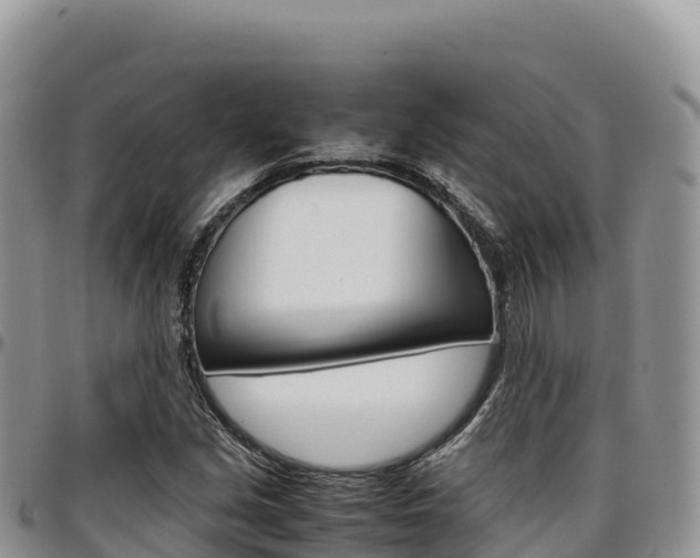 X0000097301213200802151114