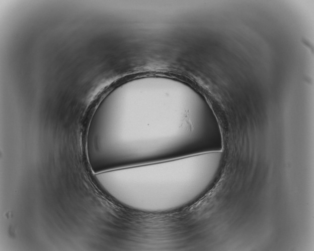 X0000097301214200802151114