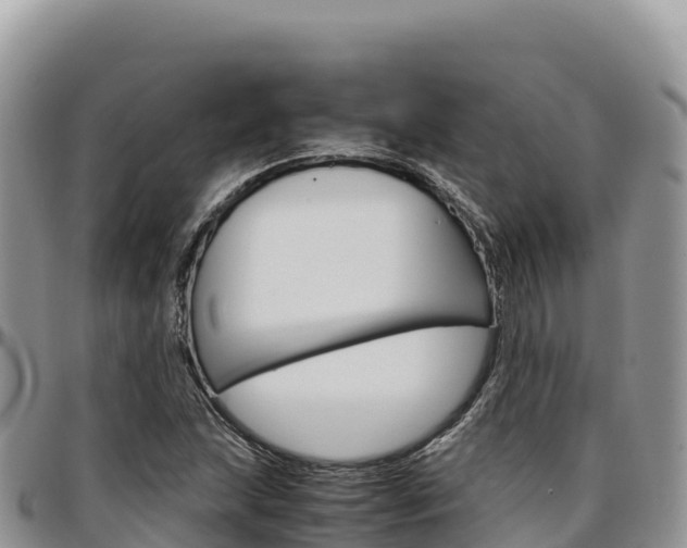 X0000097301215200802151114