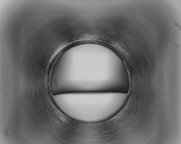 X0000097301216200802151114