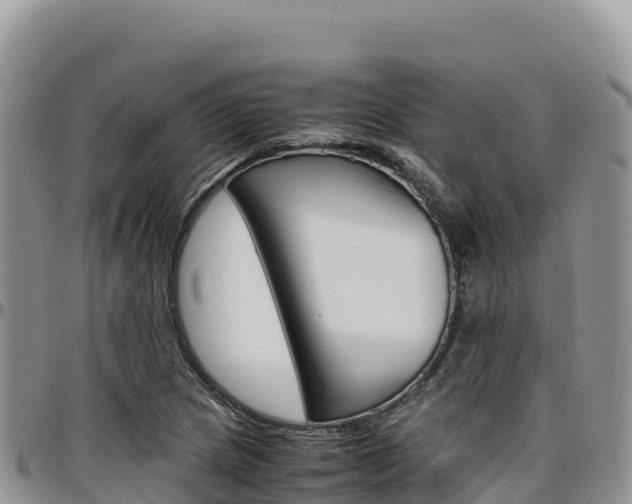 X0000097301217200802151114