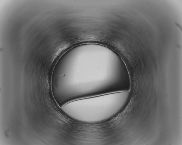 X0000097301218200802151114