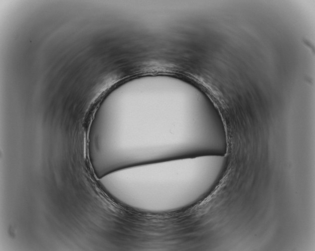 X0000097301219200802151114