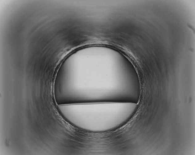 X0000097301220200802151114