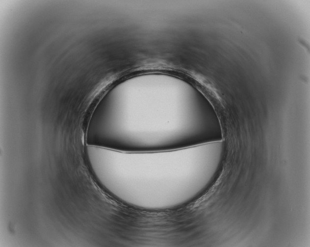 X0000097301221200802151114