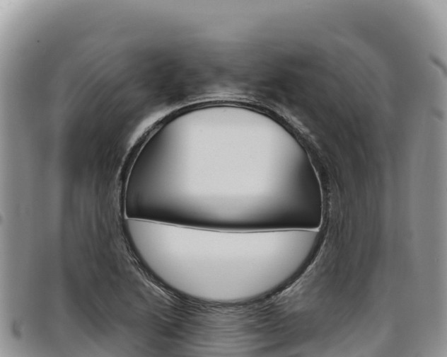 X0000097301222200802151114