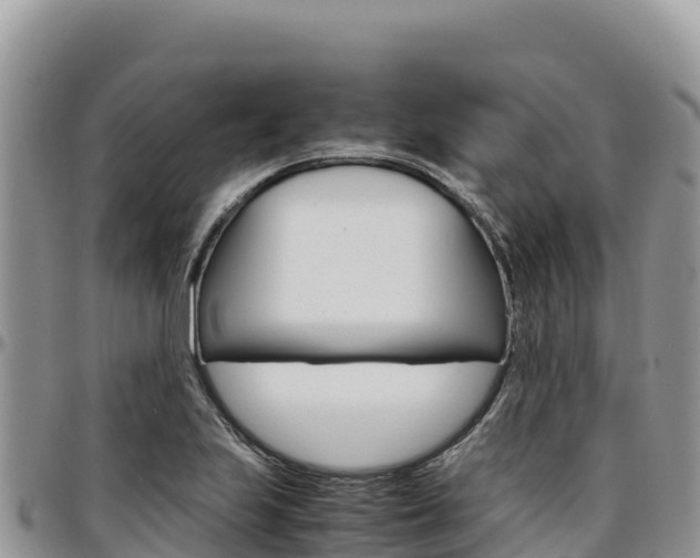 X0000097301223200802151114