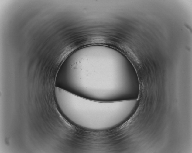 X0000097301225200802151114