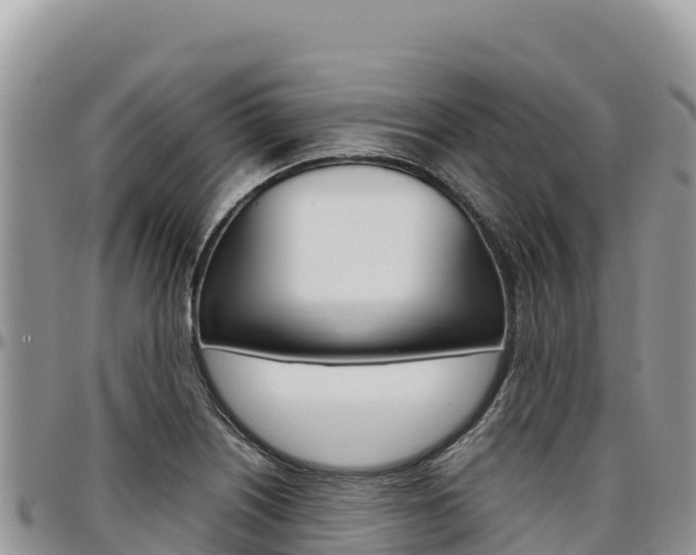X0000097301226200802151114