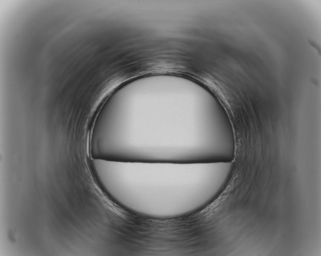 X0000097301227200802151114