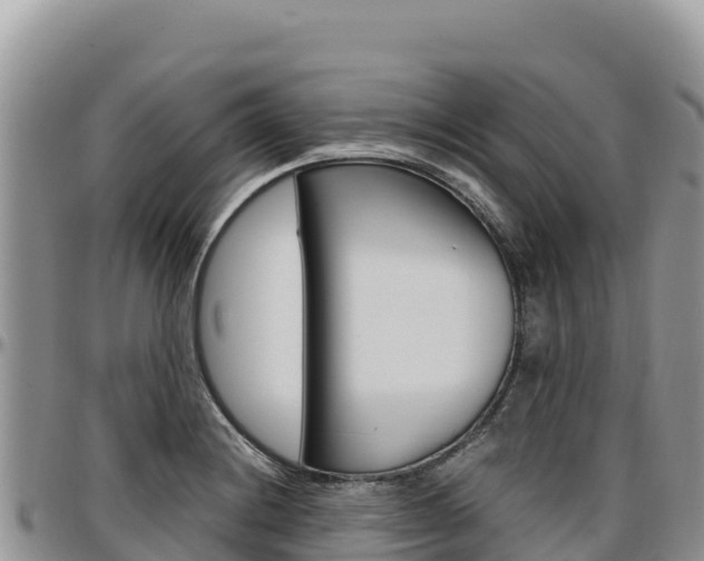 X0000097301228200802151114