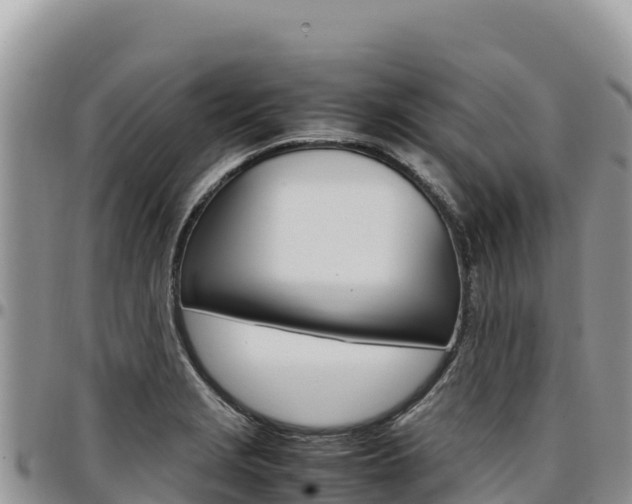 X0000097301229200802151114
