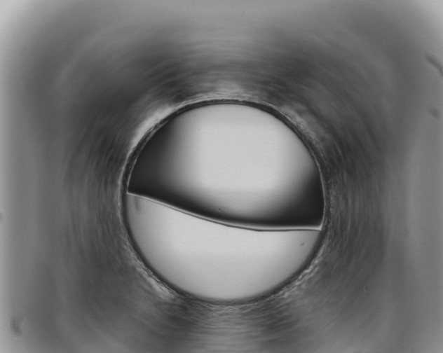 X0000097301230200802151114
