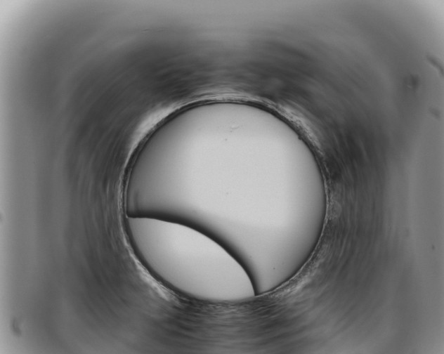 X0000097301231200802151114