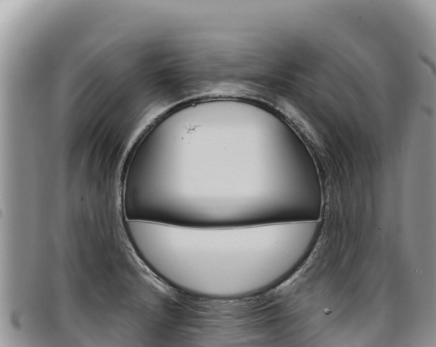 X0000097301232200802151114