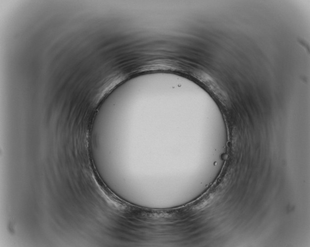 X0000097301233200802151114