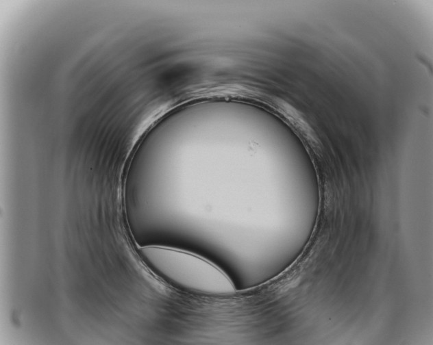X0000097301234200802151114