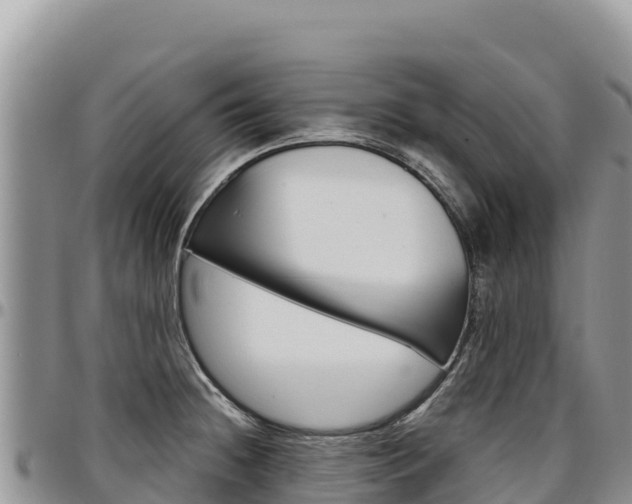 X0000097301236200802151114