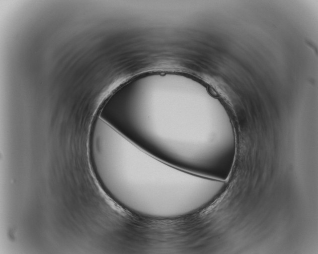 X0000097301237200802151114