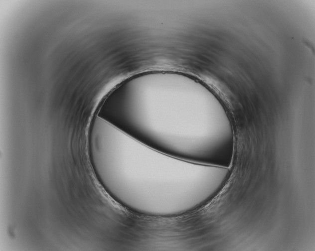 X0000097301238200802151114