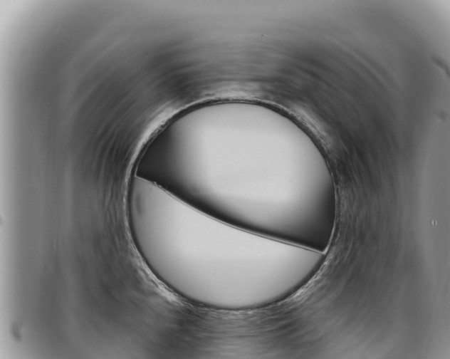 X0000097301240200802151115