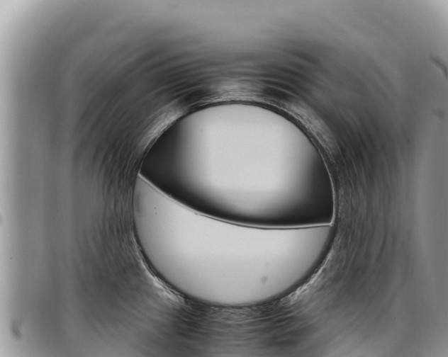 X0000097301241200802151115