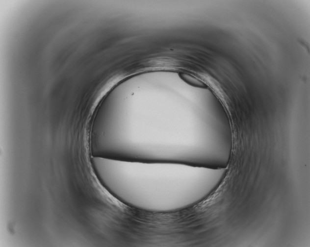 X0000097301243200802151115