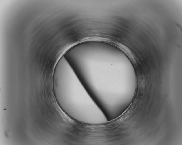 X0000097301244200802151115