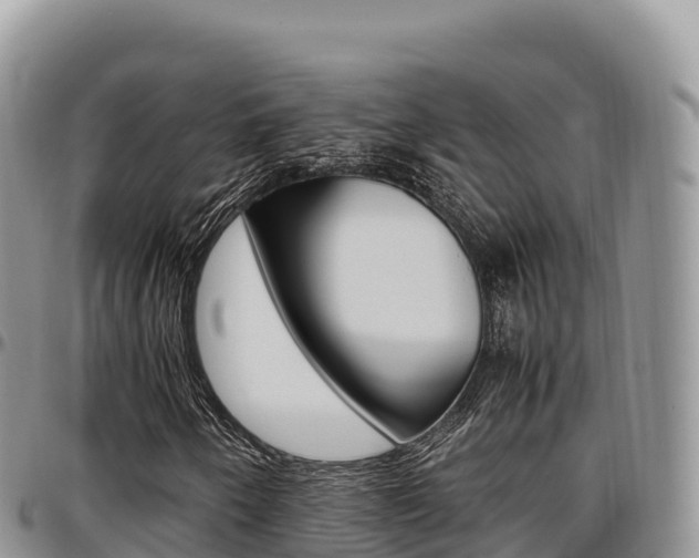 X0000097301250200802151114