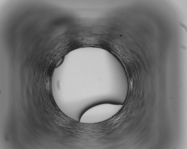 X0000097301251200802151114