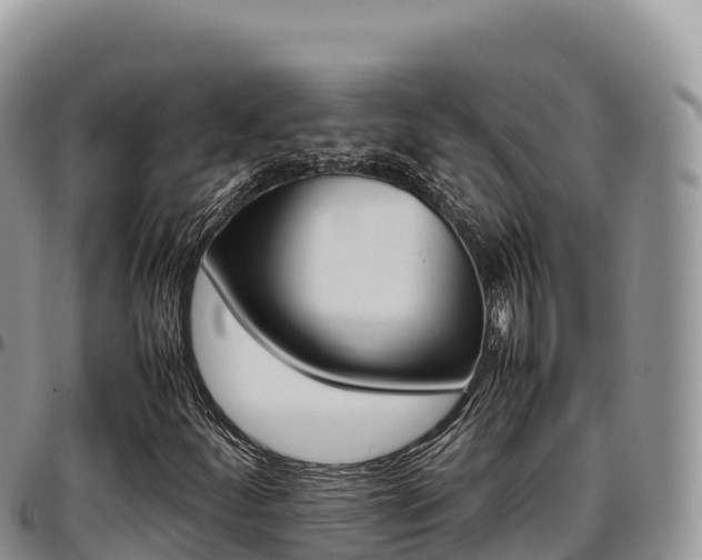 X0000097301252200802151114