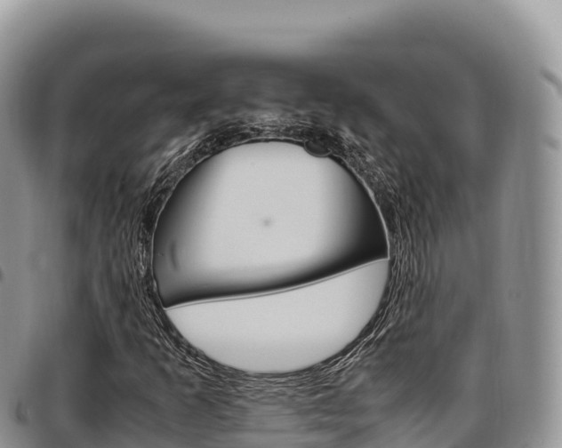 X0000097301253200802151114